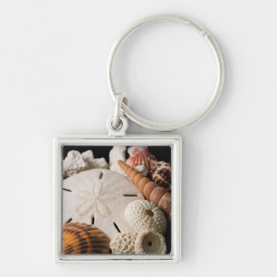Porte-clés Détail de coquillages du monde entier