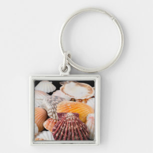 Porte-clés Détail de coquillages du monde entier 2