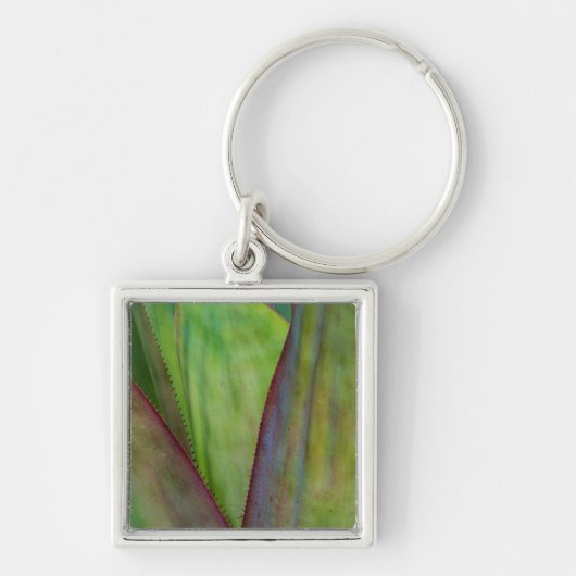 Porte-clés Détail de la plante d'Agave (Devant)