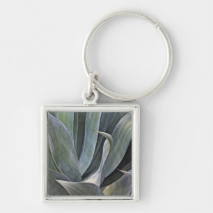 Porte-clés Détail fané de Succulant, 2017