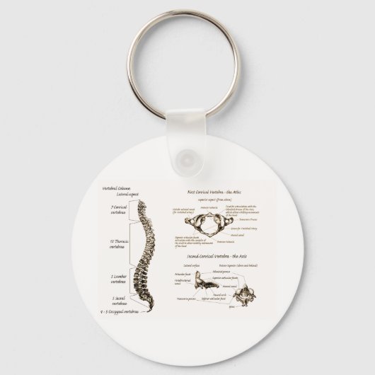 Porte-clés Détails de la colonne épine Sepia (Recto)