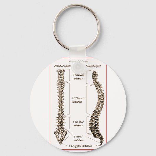 Porte-clés Détails de la colonne Sepia2 (Recto)