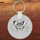 Porte-clés Détails sur le mâle Pelvis (Recto)