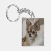 Porte-clés Détente du Chihuahua gâté (Devant gauche)