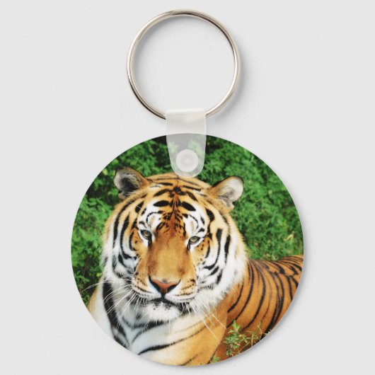 Porte-clés Détente du tigre (Recto)