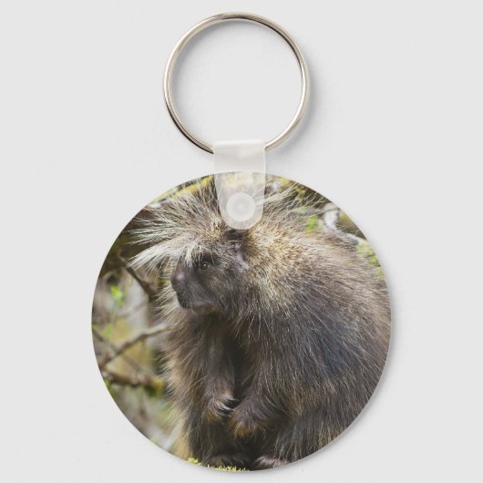 Porte-clés Determined Porcupine (Recto)