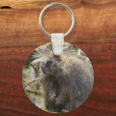 Porte-clés Determined Porcupine (Recto)