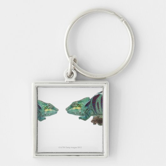 Porte-clés Deux caméléons de panthère fouineurs soient (Devant)