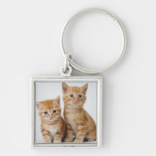 Porte-clés Deux chatons adorables (Devant)