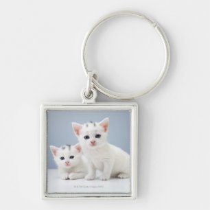 Porte-clés Deux chatons blancs très jeunes regardent fixemen