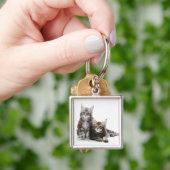 Porte-clés Deux chatons de chat de ragondin du Maine (main)