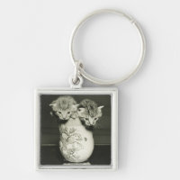 Deux chatons se cachant dans le vase, (B&W)