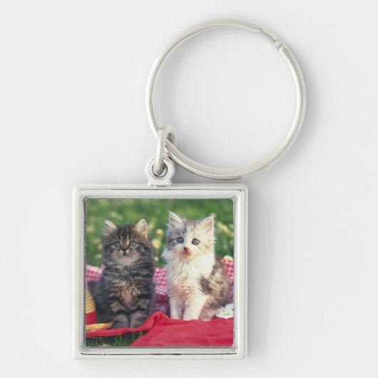 Porte-clés Deux chatons se reposant sur une couverture (Devant)