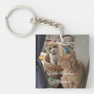 Porte-clés Deux Chats, Photo Remplaçable Et Noms,