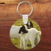 Porte-clés Deux chèvres dans un champ herbeux (Recto)
