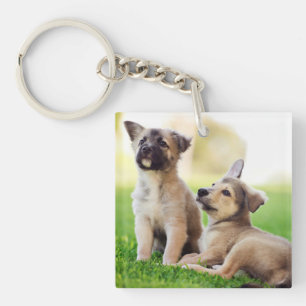 Porte-clés Deux chiots bergers allemands