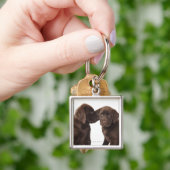 Porte-clés Deux chiots de labrador retriever de chocolat (main)