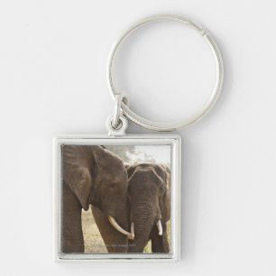 Porte-clés Deux éléphants de Bush d'Africain (Loxodonta