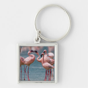 Porte-clés Deux fois Lesser Flamingos