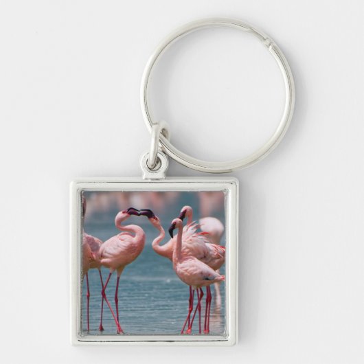 Porte-clés Deux fois Lesser Flamingos (Devant)