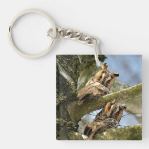 Porte-clés Deux hiboux dans les bois, oiseaux, faune