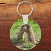 Porte-clés deux jeunes marmottes (Recto)