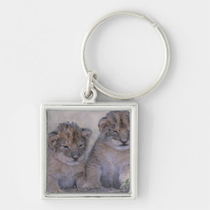 Porte-clés Deux lion CUB