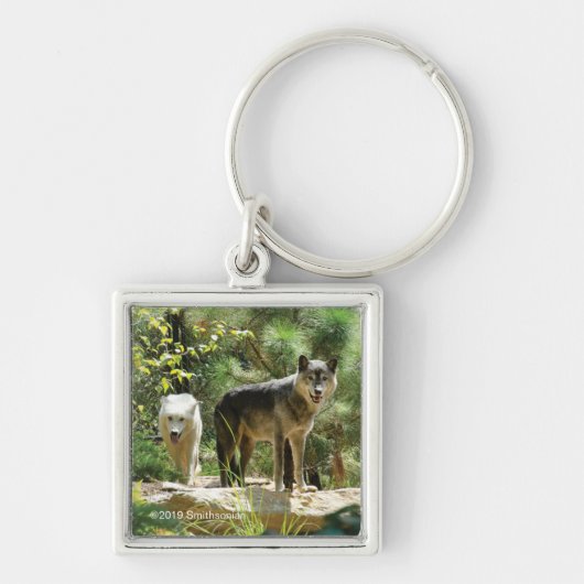 Porte-clés Deux loups gris en forêt (Devant)