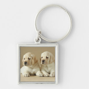 Porte-clés Deux Marionnettes Golden Labrador
