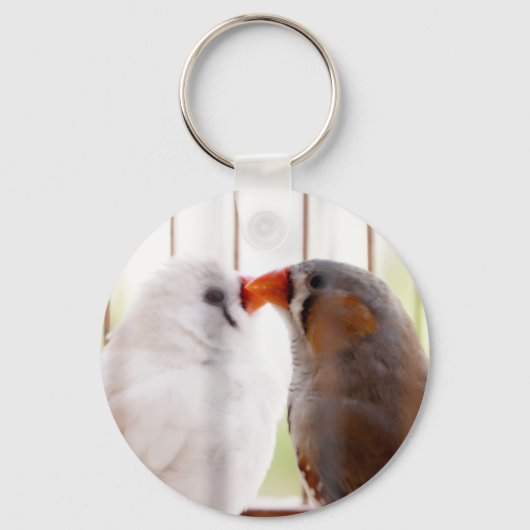 Porte-clés Deux mignons bouillons en cage (Recto)