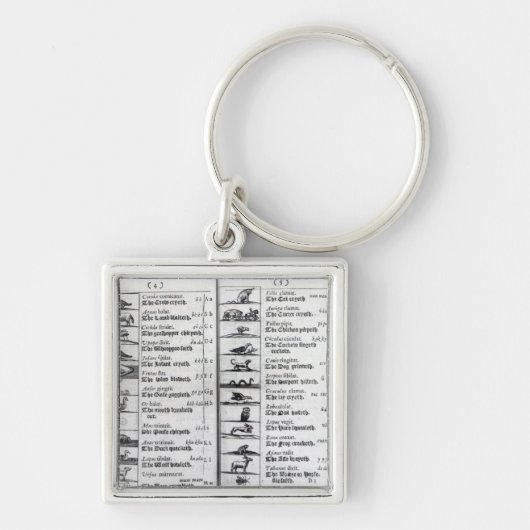 Porte-clés Deux pages de 'Orbis Sensualium Pictus (Devant)