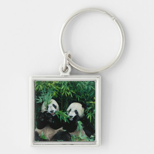 Porte-clés Deux pandas mangeant du bambou ensemble, Wolong (Devant)