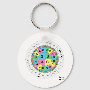 Porte-clés Diagramme de la table de séquence de base d'acide 