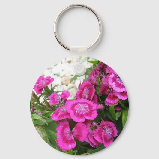Porte-clés Dianthus rose/Sweet William (Recto)