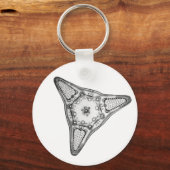 Porte-clés Diatomée (Recto)