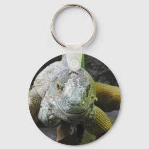 Porte-clés d'iguane