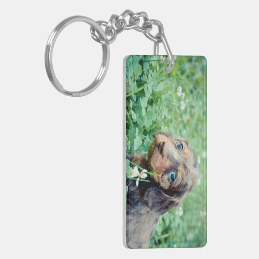 Porte-clés Dinah & Littermates Double photo Keepsaké (Devant gauche)