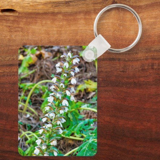 Porte-clés Discours de l'ours (Verso)