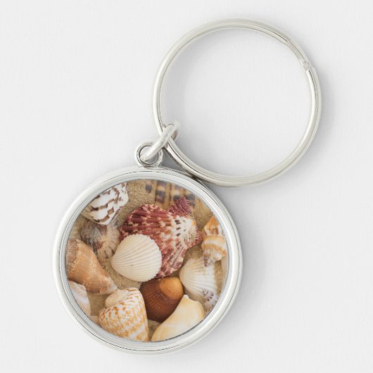 Porte-clés Disposition de coquillage (Devant)