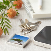 Porte-clés Divi Divi Divi Tree, Eagle Beach, Aruba, Caraïbes (Côté)