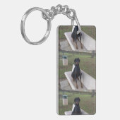 Porte-clés doberman pinting (Devant gauche)