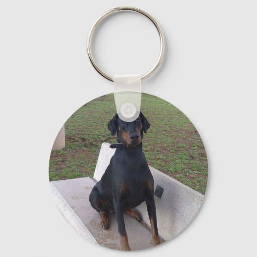Porte-clés doberman pinting (Recto)