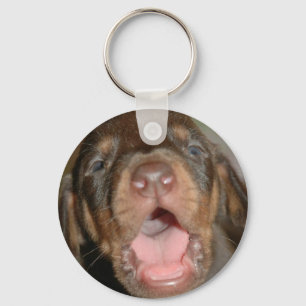 Porte-clés Dobermann de bébé de cri
