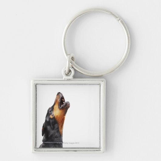 Porte-clés Dobermann hurlant (Devant)