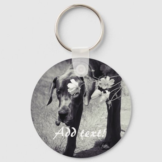 Porte-clés Dogge Balu (Recto)