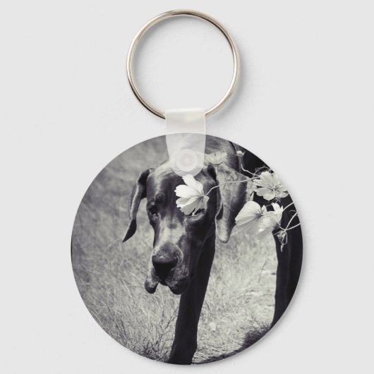 Porte-clés Dogge Balu (Recto)