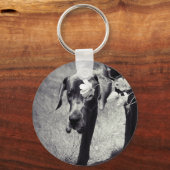 Porte-clés Dogge Balu (Recto)