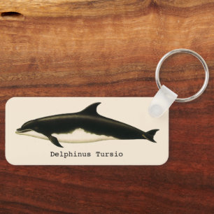 Porte-clés Dolphins vintages Delphinus Tursio, Mammifères mar