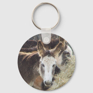Porte-clés Donkey