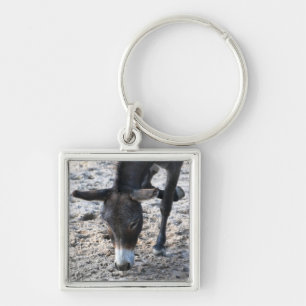 Porte-clés Donkey